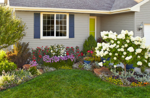 Landscaping Houston